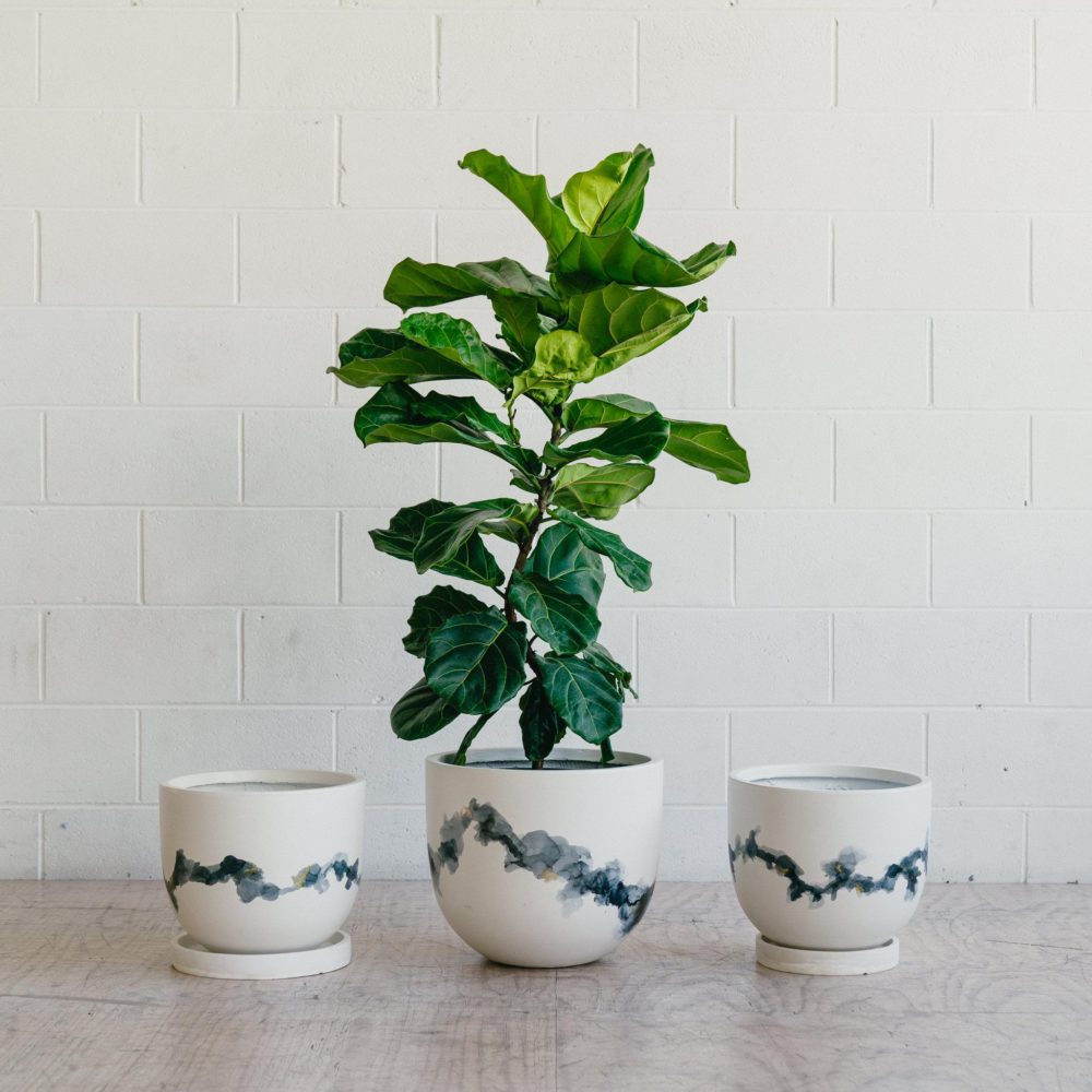 COLLABORATION – TOAST AND HONEY STUDIO X FERN SIEBLER