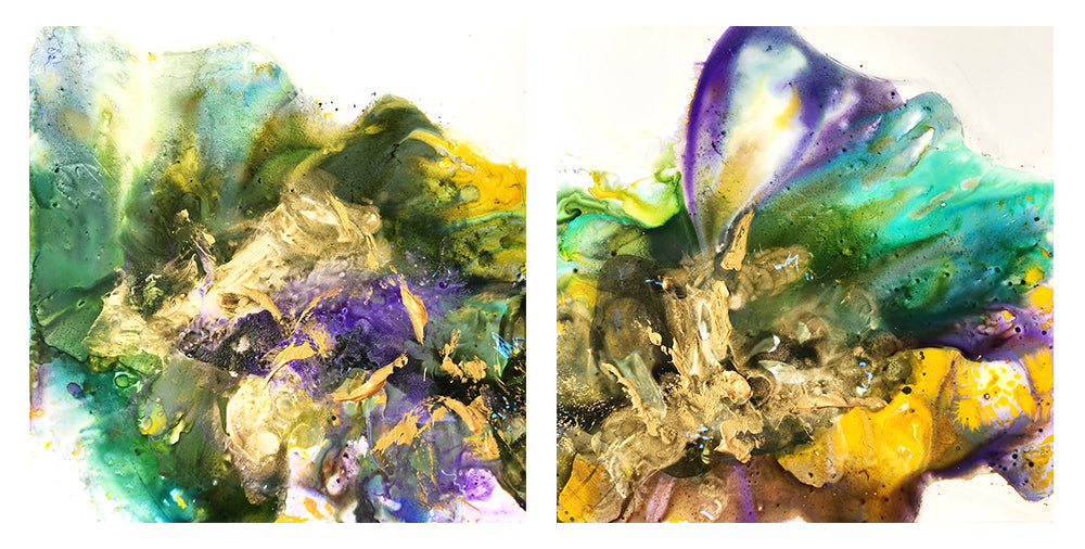 Time to bloom (diptych)